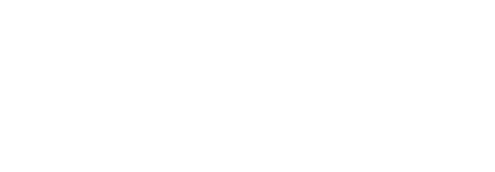 Renesis Tech